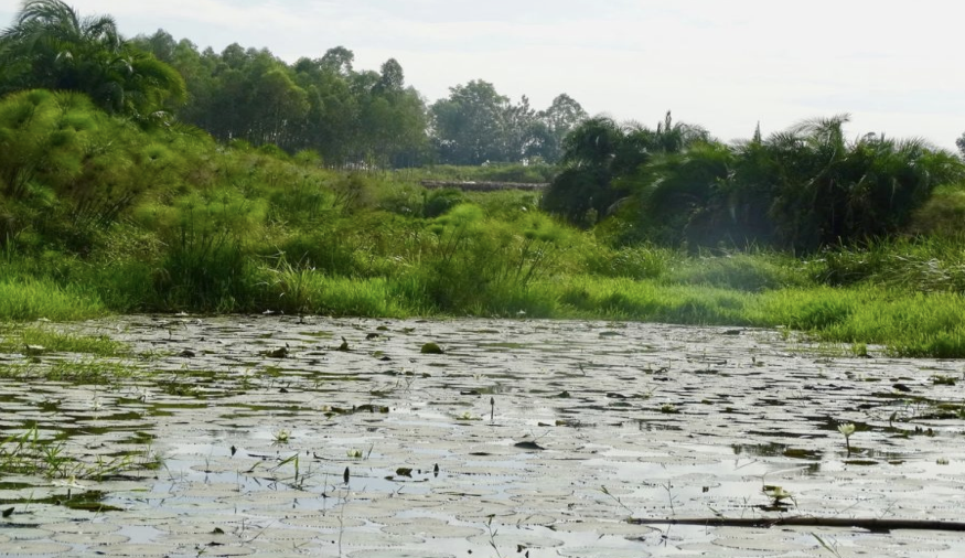 Sulak Araziler: Doğanın Muhafızları, Bizim Sorumluluğumuz