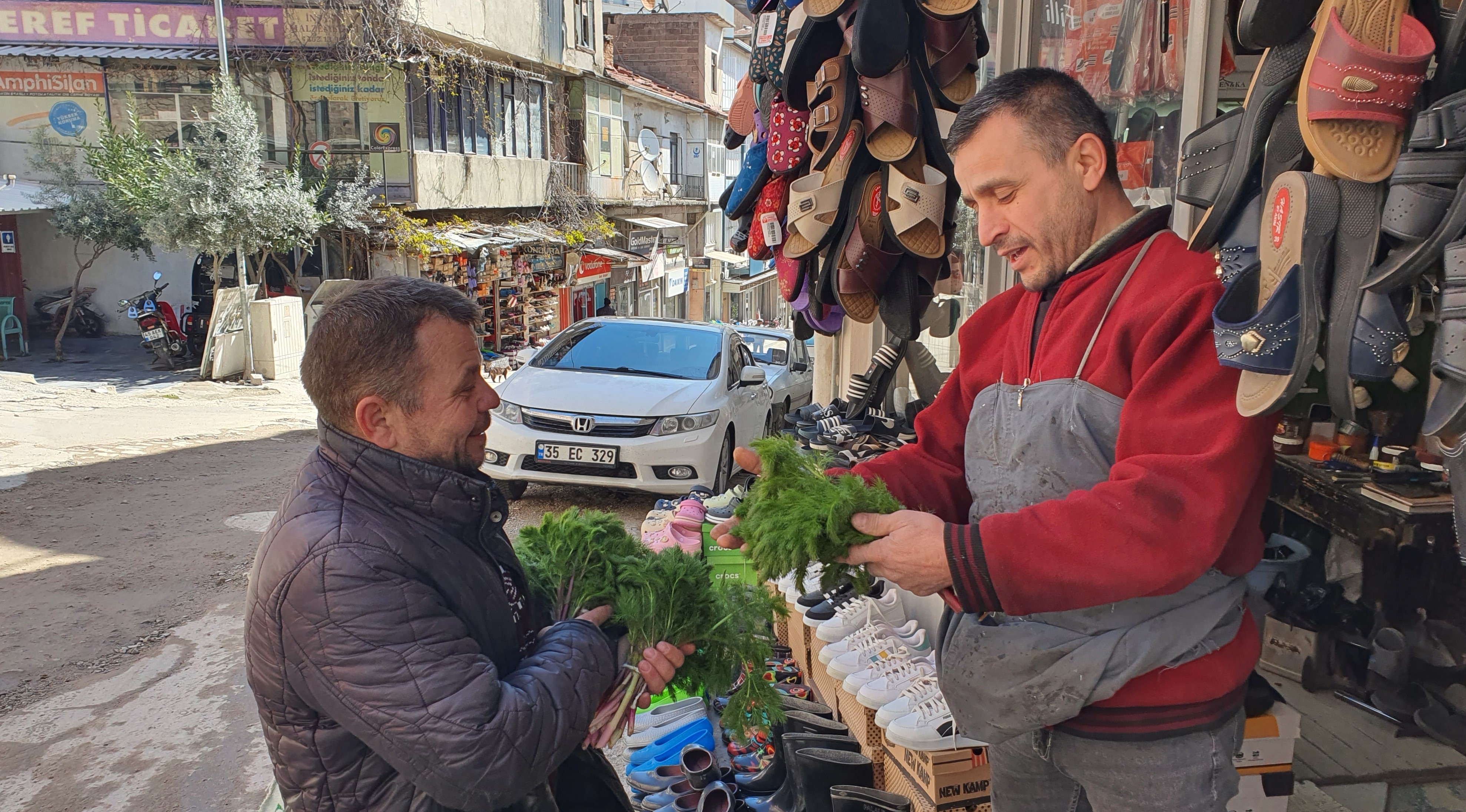 Kendiliğinden yetişen çaşır otu yok satıyor