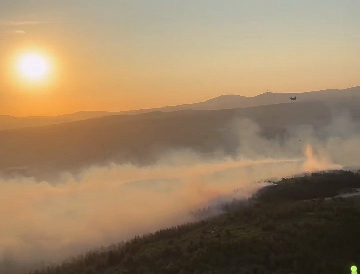 Manisa’daki orman yangınına müdahale tüm hızıyla devam ediyor