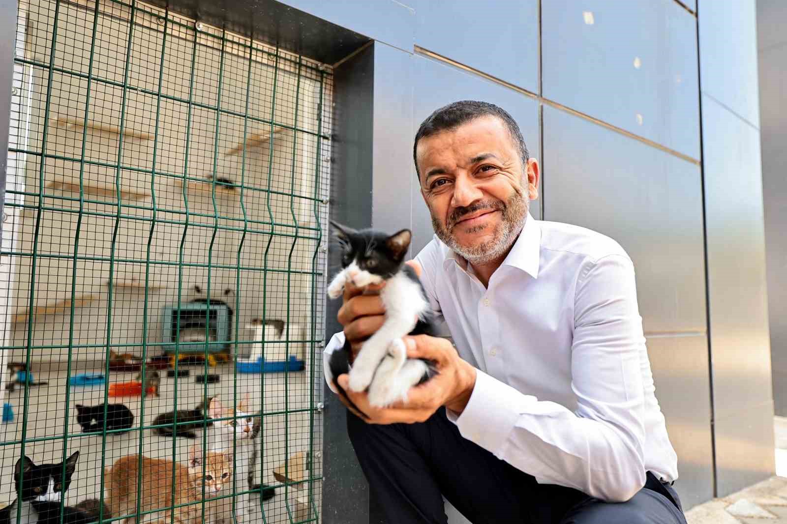 Denizli Büyükşehir’den can dostlarına şefkat eli