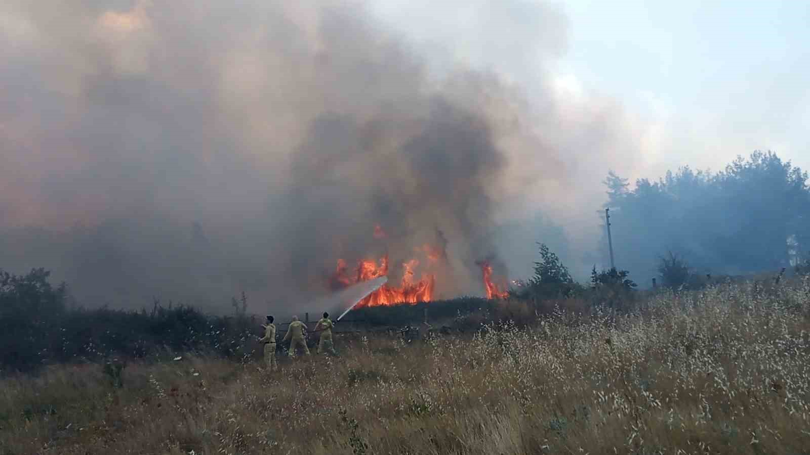 Muğla’daki orman yangınında 1 kişi gözaltına alındı