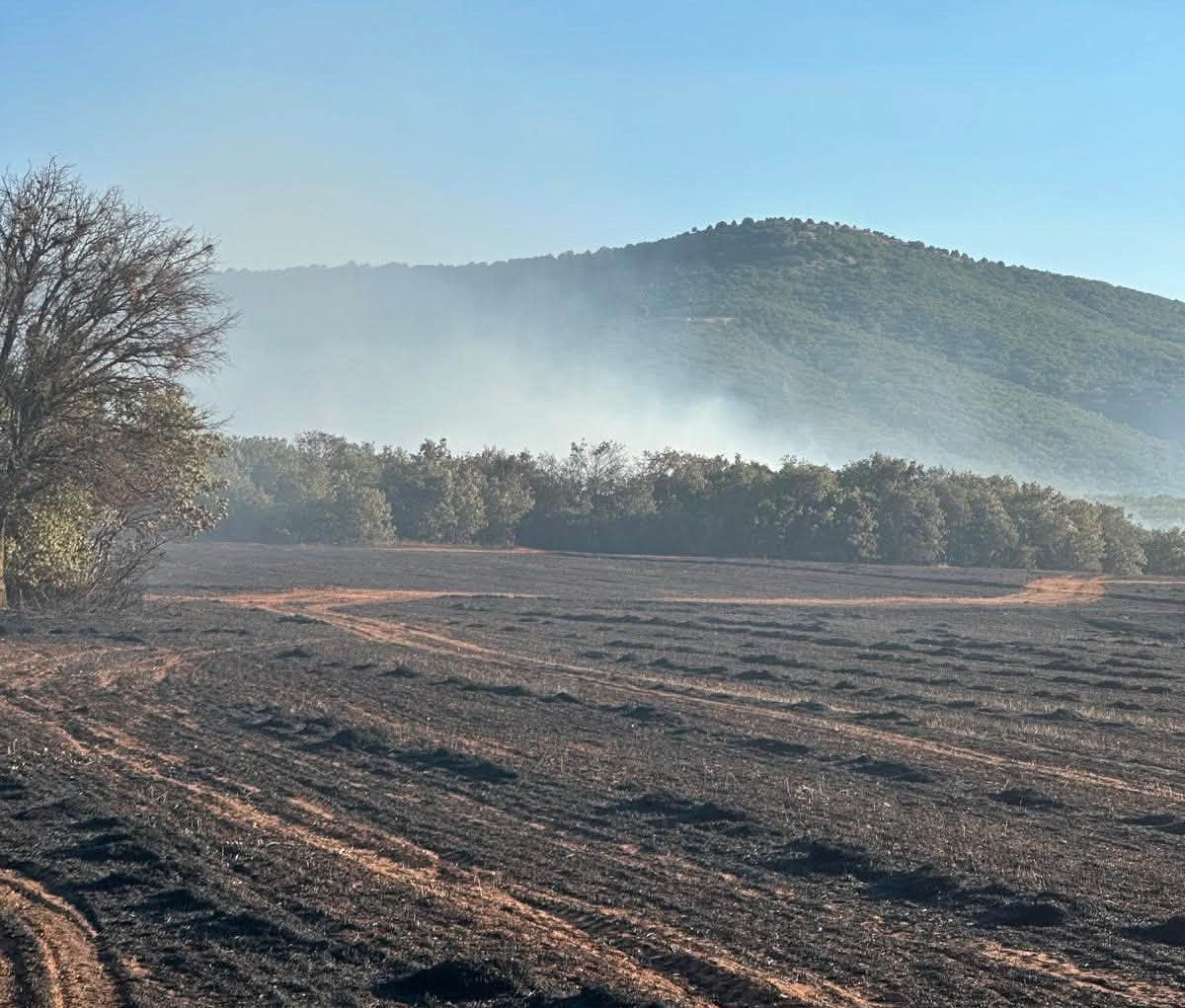 Kütahya Altıntaş’taki arazi yangını kontrol altına alındı