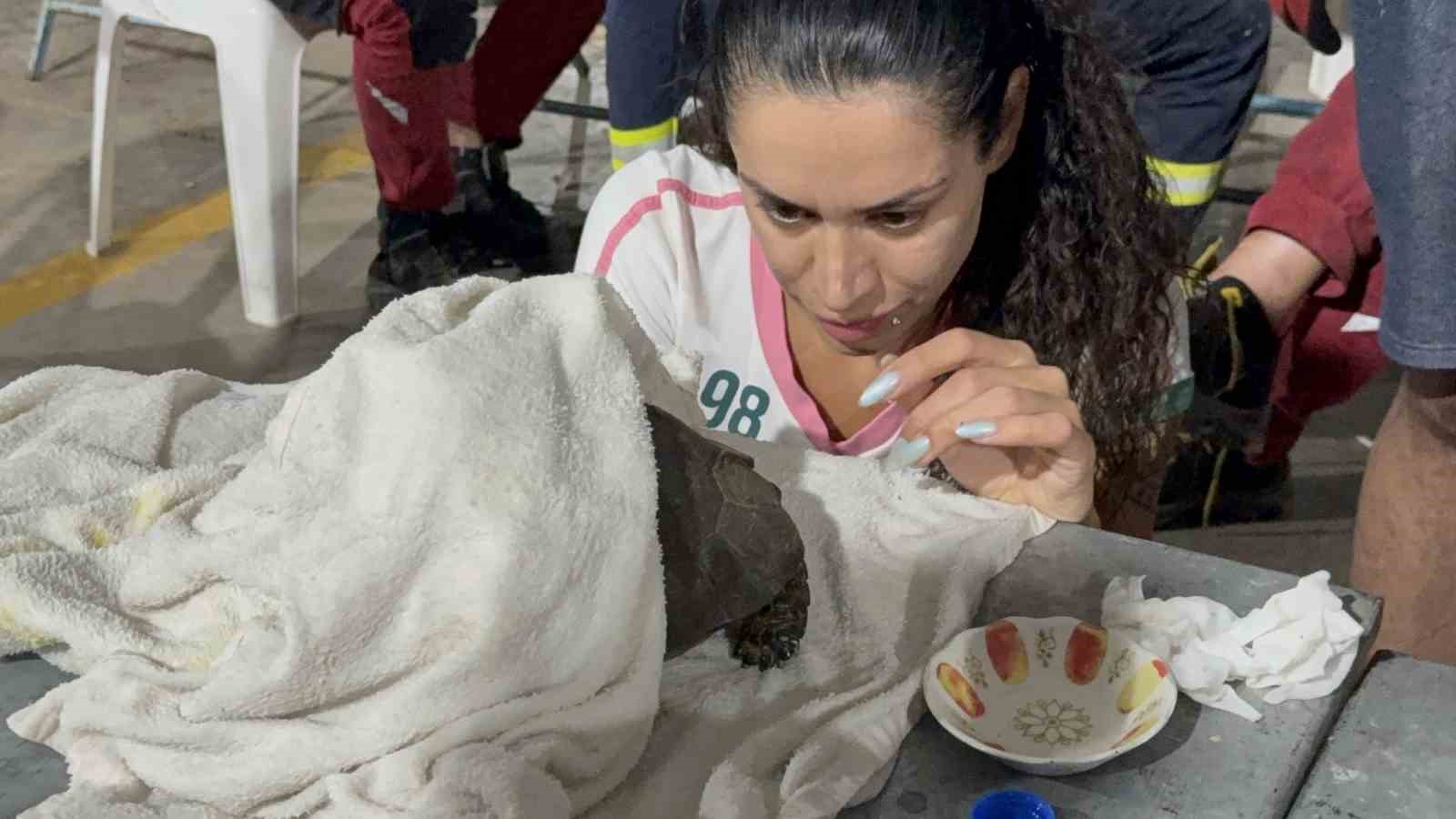 Alevlerin arasından kurtarılan kaplumbağa için zamanla yarışıldı