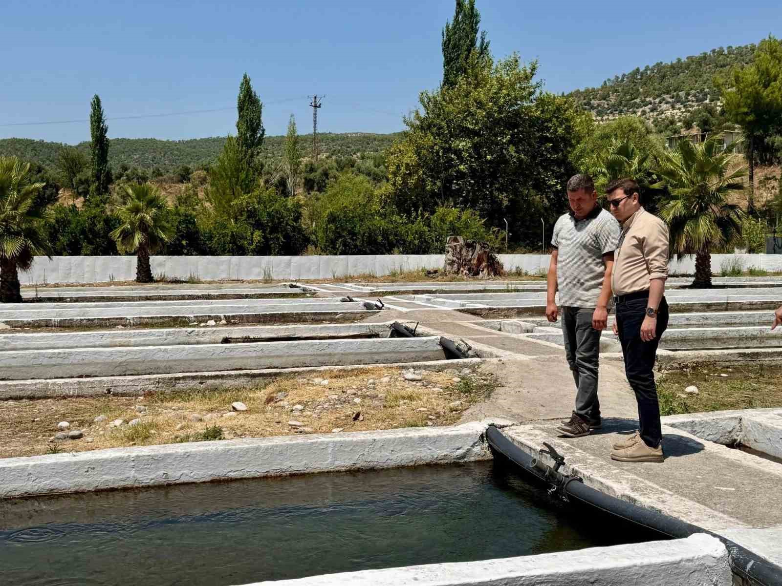 Kaymakam Sözen, tarım müdürlüğü ve su ürünleri işletmesinde incelemelerde bulundu