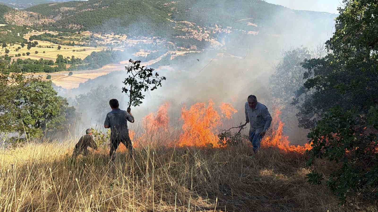 Domaniç’te tarlada başlayan ve ormanlık alana sıçrayan yangın söndürüldü