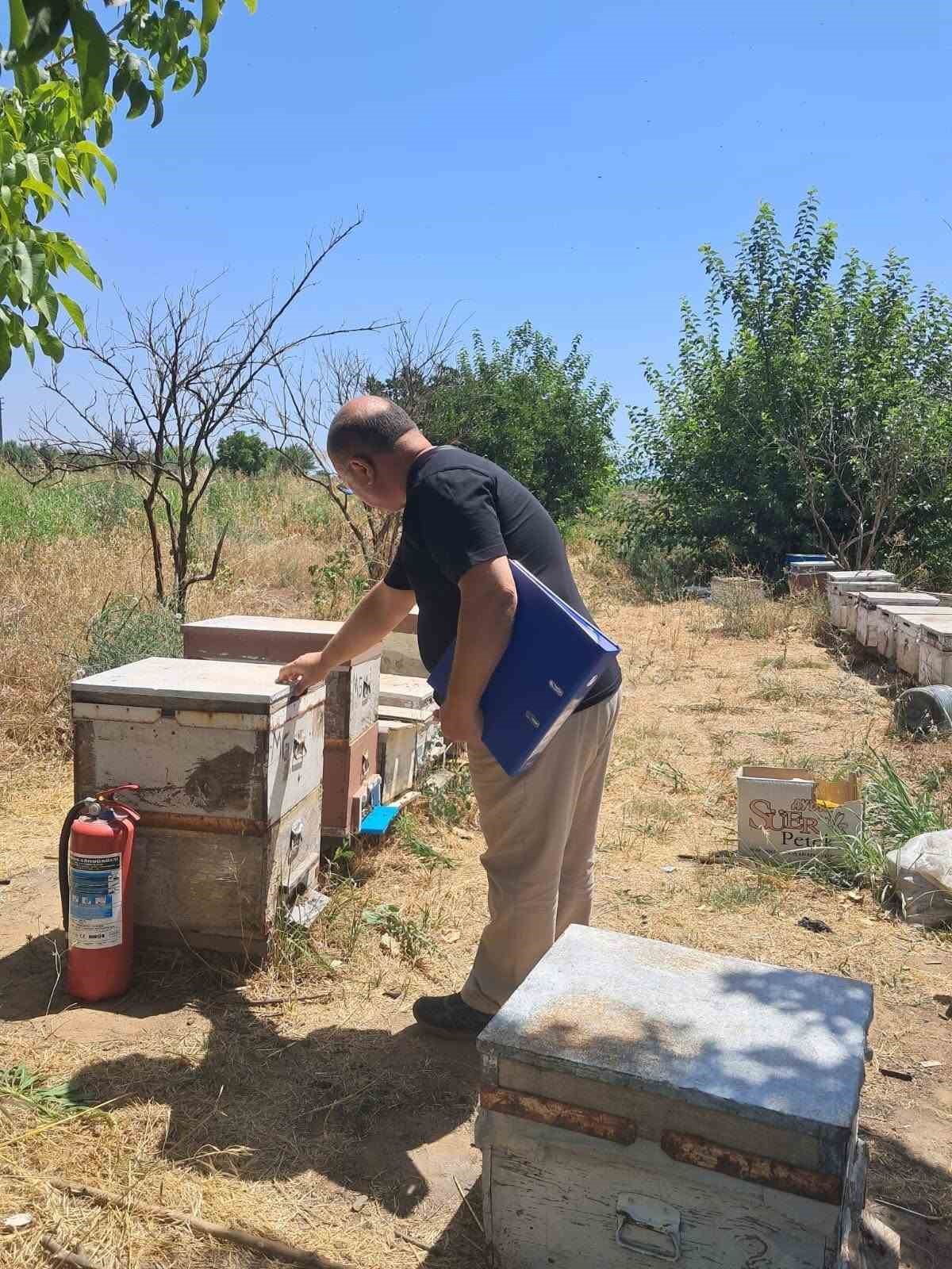 Köşk’te arılı kovan tespit çalışmaları sürüyor