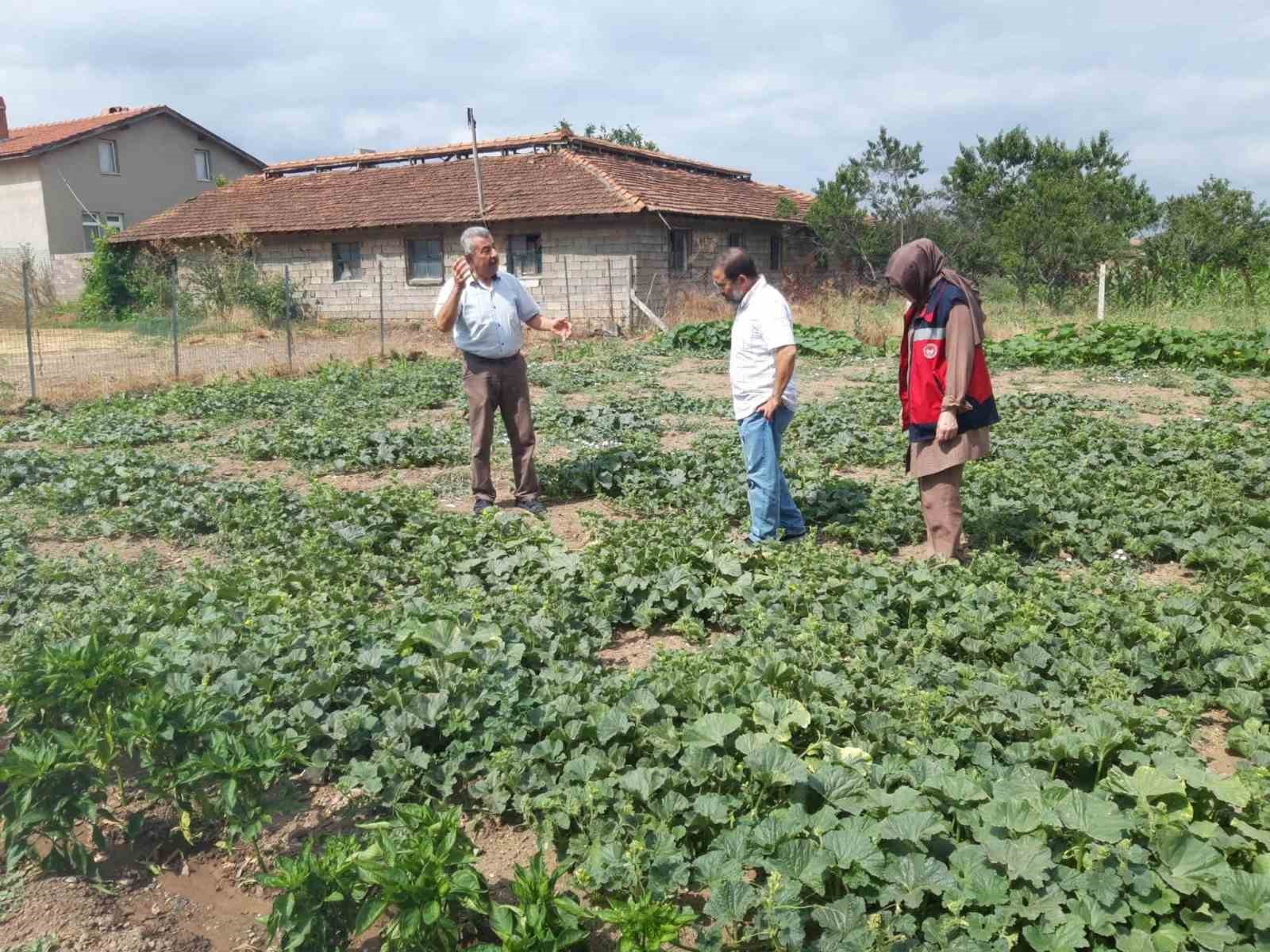 Tavşanlı’da tarım arazileri ve seralarda hastalık kontrolleri sürüyor