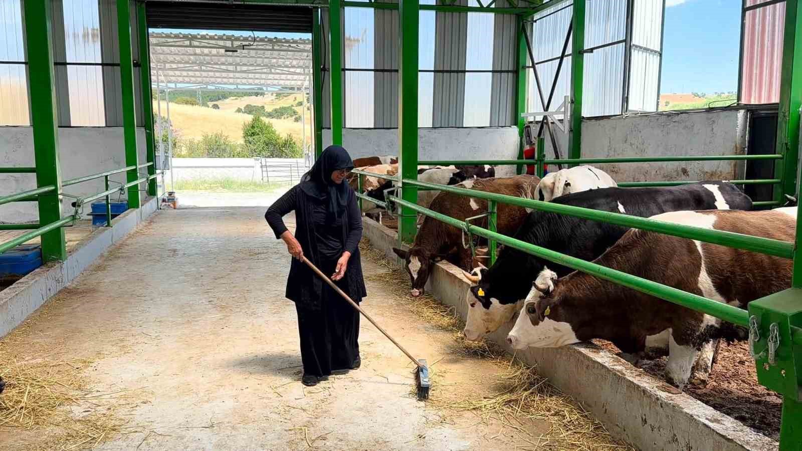 Gediz’de 12 milyon TL’lik büyükbaş besi işletmesi faaliyete geçti
