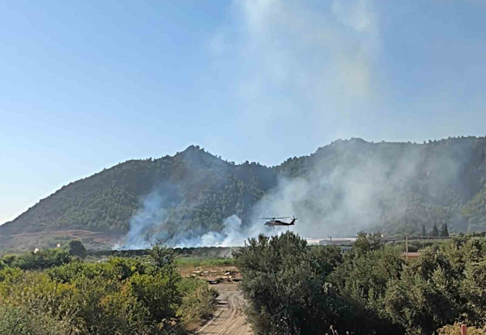 Dalaman’da tarım alanındaki yangın kısa sürede söndürüldü