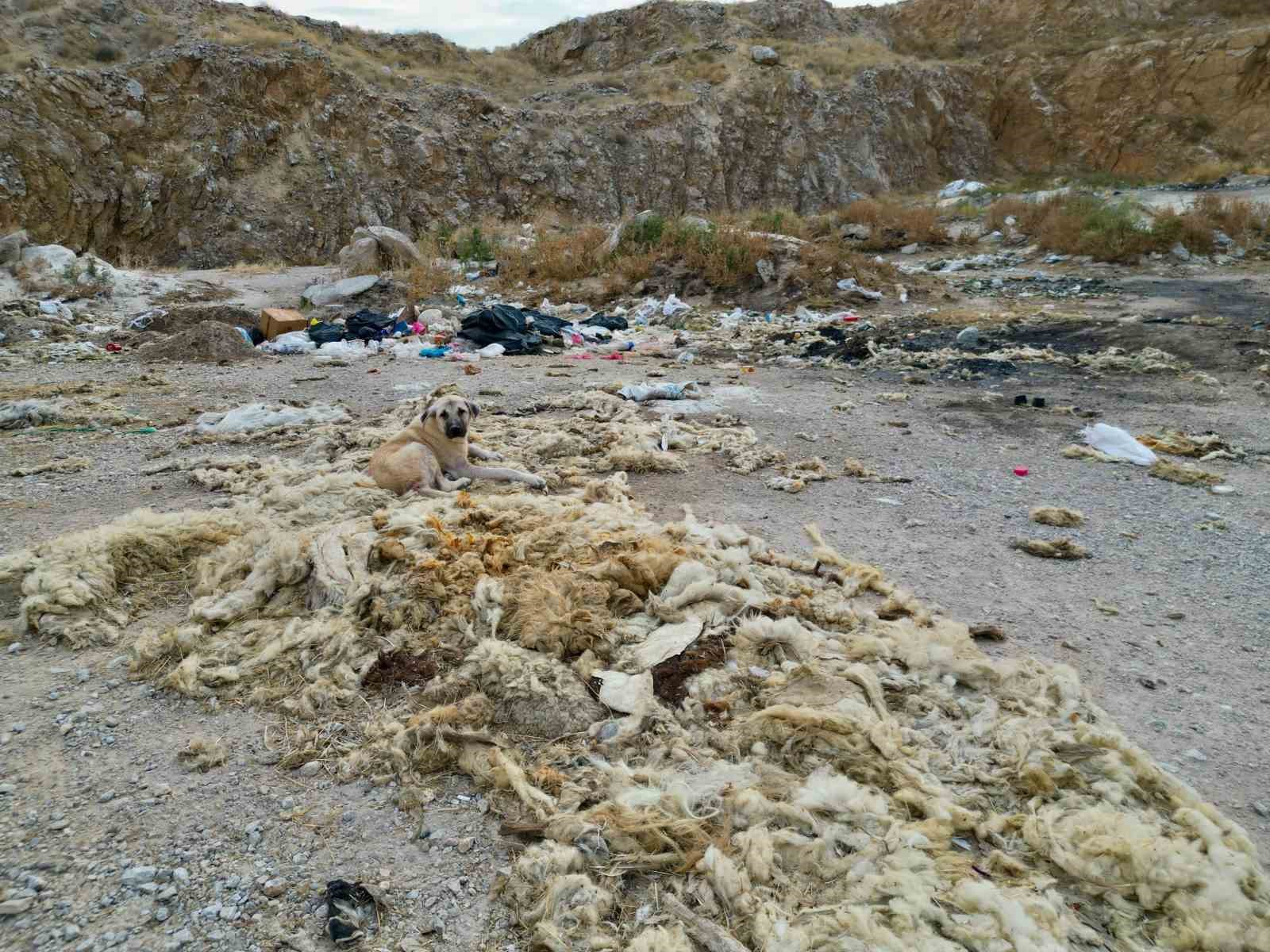 Çöplüğe dönen kum ocağında çevre felaketi yaşanıyor