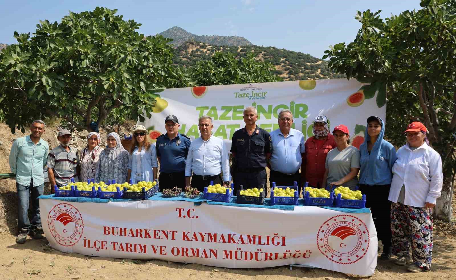 Buharkent’te taze incir hasadı başladı