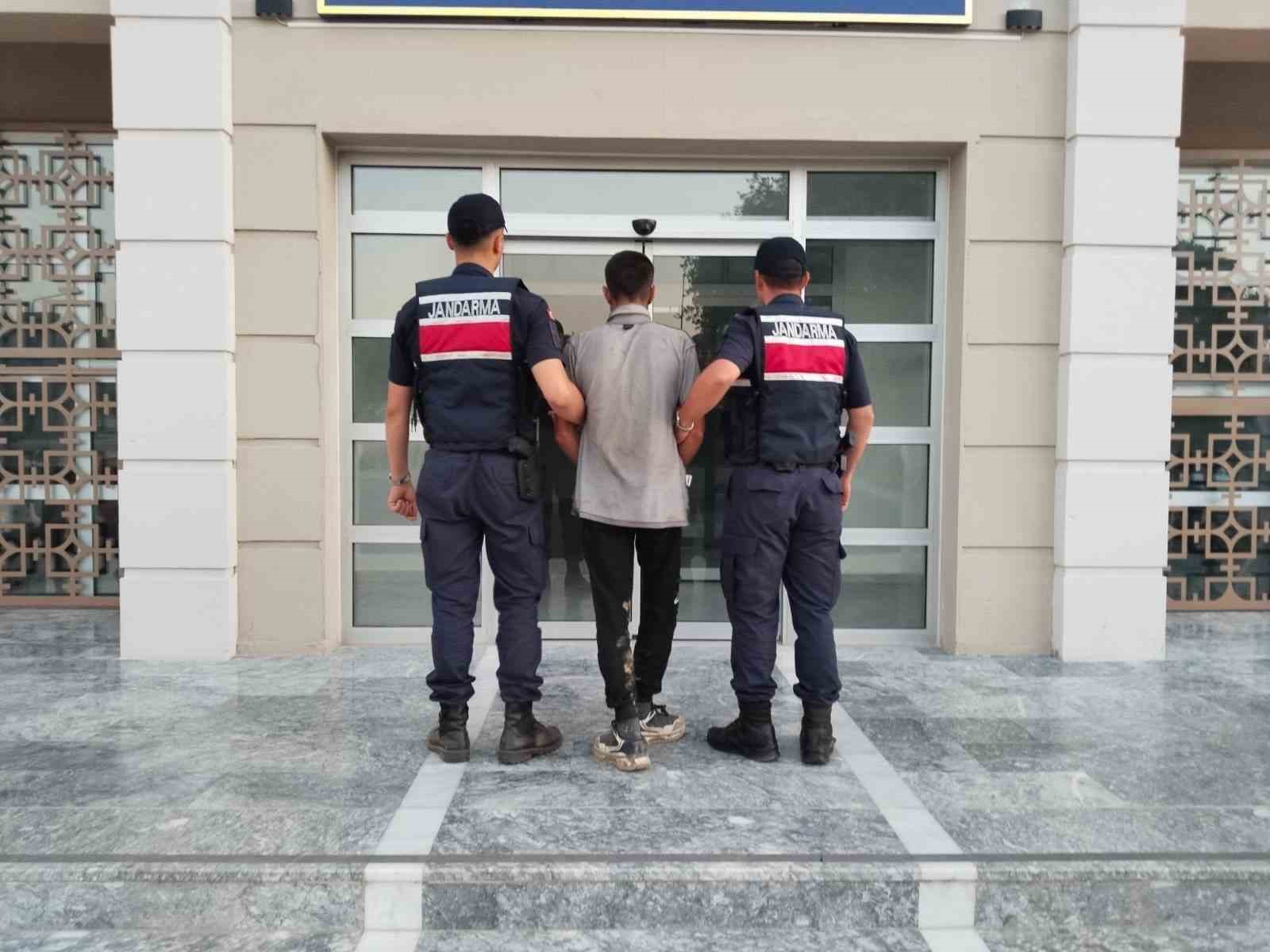 Germencik’te incir hırsızlığına suçüstü