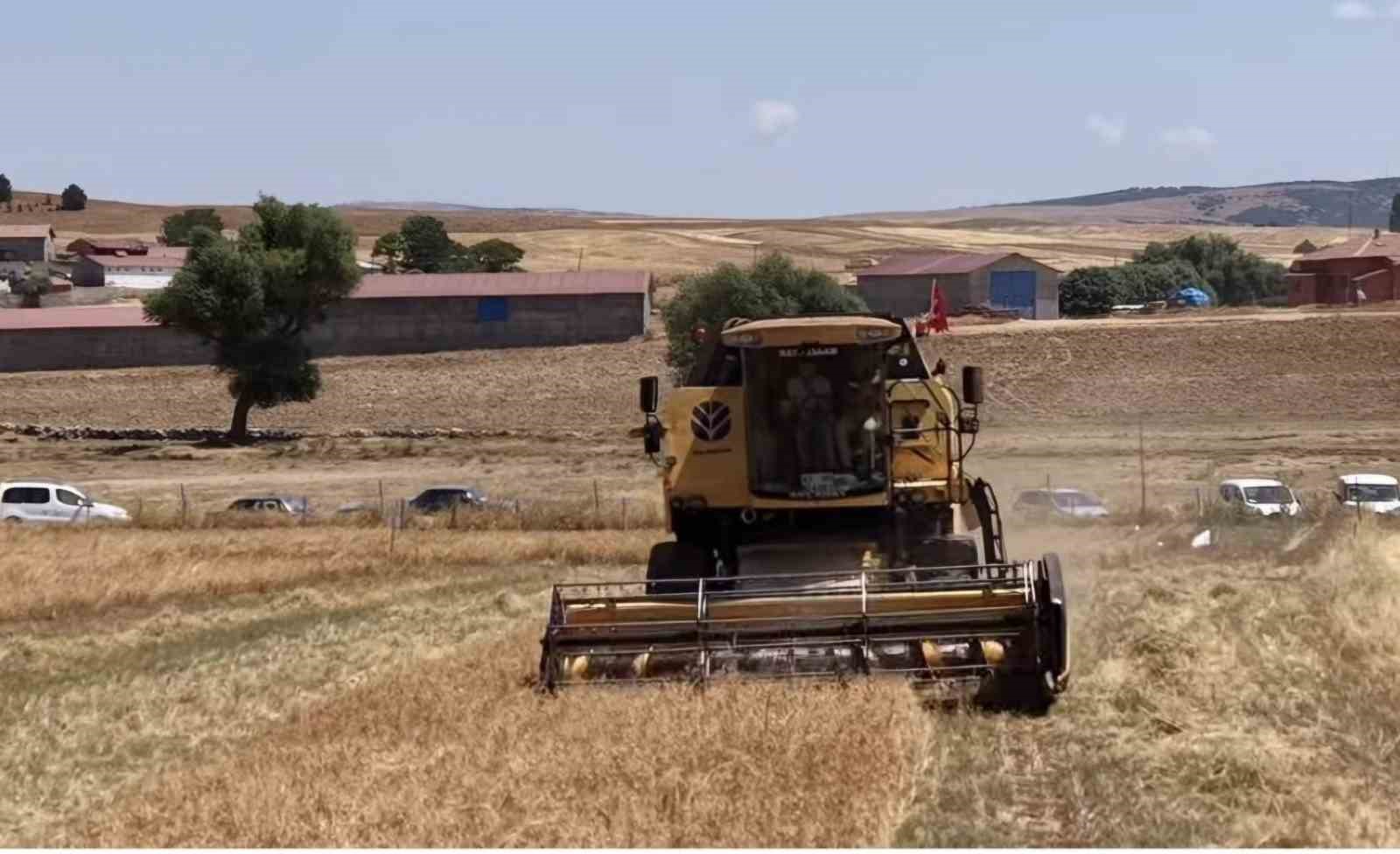 Kütahya’da 18 farklı nohut çeşidi aynı tarlada tanıtıldı