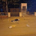 AYDIN'IN EFELER İLÇESİNDE GECE SAATLERİNDE DURAK TABELASI ALTINA BIRAKLAN ŞÜPHELİ ÇANTA EKİPLERİ ALARMA GEÇİRDİ.