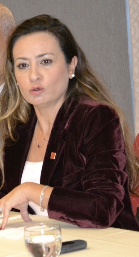 Yeni Parti Manisa İl Başkanı İlksen Özalper gözaltına alındı