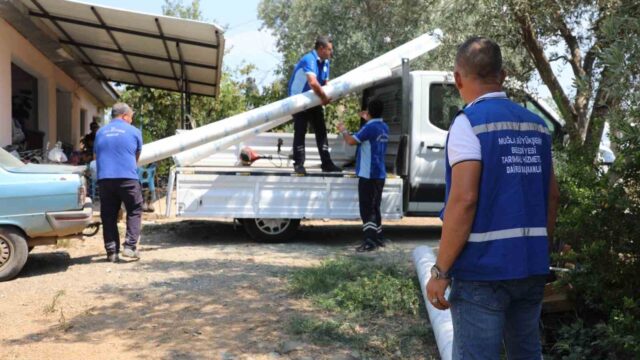 MUĞLA BÜYÜKŞEHİR BELEDİYESİ TARIMSAL HİZMETLER DAİRESİ BAŞKANLIĞI, DOĞAL AFETLERDEN ETKİLENEN ÜRETİCİLERİN YENİDEN ÜRETİME KAZANDIRILMASI VE TARIMSAL FAALİYETLERİN SÜRDÜRÜLEBİLİRLİĞİNİN SAĞLANMASI AMACIYLA DESTEK ÇALIŞMALARINI SÜRDÜRÜYOR.