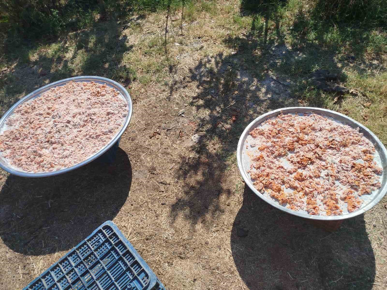 Köşk Başçayır’da geleneksel kışlık tarhana hazırlıkları başladı
