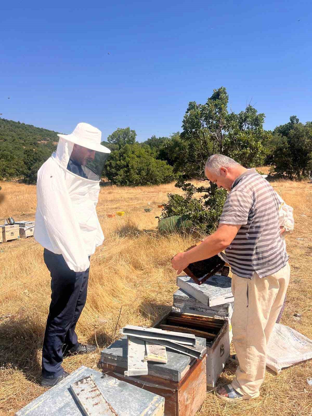 Arılı kovan tespit çalışmaları devam ediyor