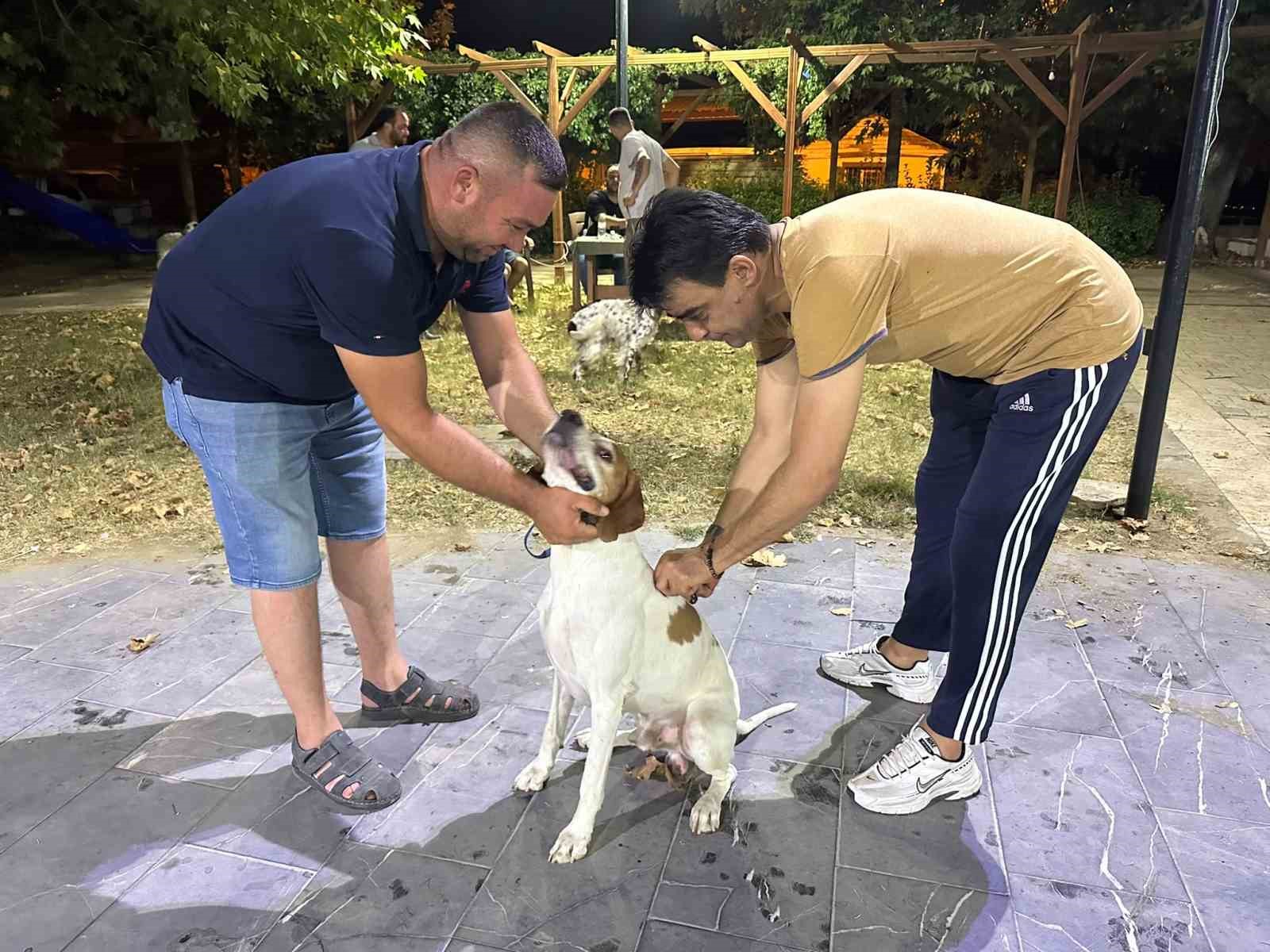 Sarıgöl’de av köpeklerine kuduz aşısı seferberliği