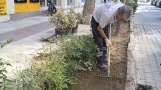 ŞEHZADELER BELEDİYESİ PARK VE BAHÇELER MÜDÜRLÜĞÜ EKİPLERİ, İLÇE GENELİNDEKİ PARK VE YEŞİL ALANLARDA BAKIM, ONARIM, TEMİZLİK VE PEYZAJ ÇALIŞMALARINI ARALIKSIZ SÜRDÜRÜYOR.