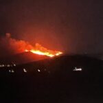 BODRUM’DA MAKİLİK ALANDA YANGIN: "ALEVLER RÜZGARLA HIZLA YAYILDI"