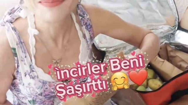 GERMENCİK İNCİRİNE ÜNLÜ SANATÇILARDAN ÖVGÜ