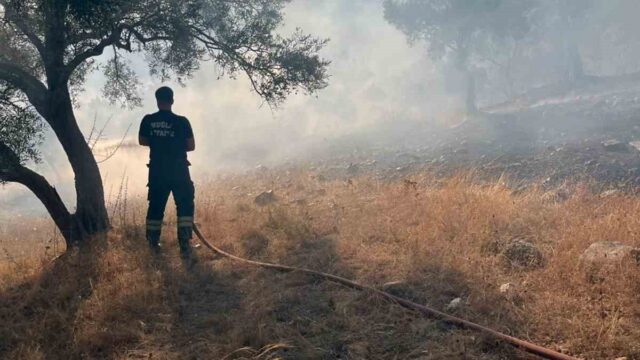 BODRUM-MİLAS KARAYOLU KEMİKLER MAHALLESİNDE ARAZİDE BAŞLAYAN OT YANGINI EKİPLERİN ZAMANINDA MÜDAHALESİ İLE SÖNDÜRÜLDÜ.