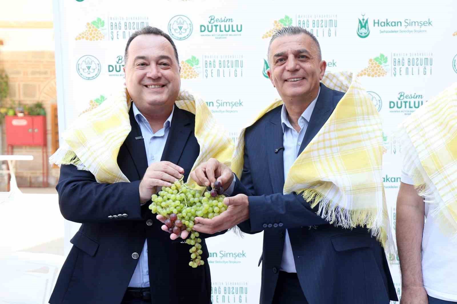 Şehzadeler’de 4 gün sürecek bağ bozumu coşkusu başlıyor