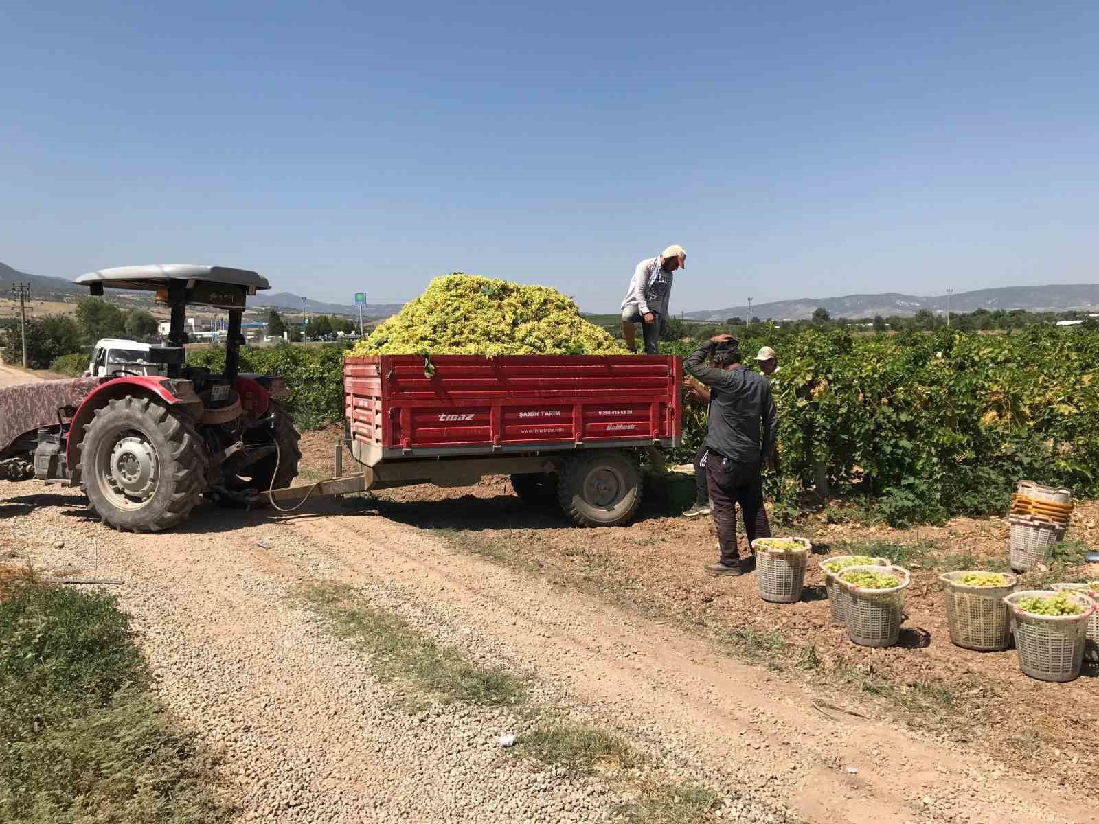 Güneyli üzüm üreticilerinden alıcılara fiyat tepkisi