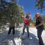 AYDIN’IN BOZDOĞAN İLÇESİNDE ZEYTİN HASADI, İLÇE TARIM VE ORMAN MÜDÜRÜ NEVZAT ERDEM’İN KATILIMIYLA ÜRETİCİYE AİT BAHÇEDE GERÇEKLEŞTİRİLDİ.