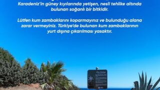 DİDİM BELEDİYESİ KUM ZAMBAĞI’NI KORUMA ALTINA ALDI