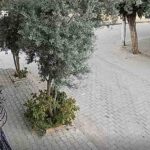 OLAYIN ARDINDAN POLİS EKİPLERİNCE BAŞLATILAN ÇALIŞMA KAPSAMINDA 2011 DOĞUMLU, 9/C SINIFI ÖĞRENCİSİ HALİL ORHAN YAKALANARAK GÖZALTINA ALINDI.