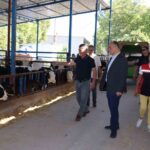 MUĞLA’NIN YATAĞAN İLÇESİNDE TARIMSAL ÜRETİME DİKKAT ÇEKMEK VE ÜRETİCİLERİN EMEĞİNİ TAÇLANDIRMAK AMACIYLA HASAT ŞENLİĞİ GERÇEKLEŞTİRİLDİ. YENİ MAHALLE VE YENİKÖY MAHALLELERİNDE DÜZENLENEN ETKİNLİKTE, ÜRETİCİLER VE İLÇE PROTOKOLÜ BİR ARAYA GELDİ.