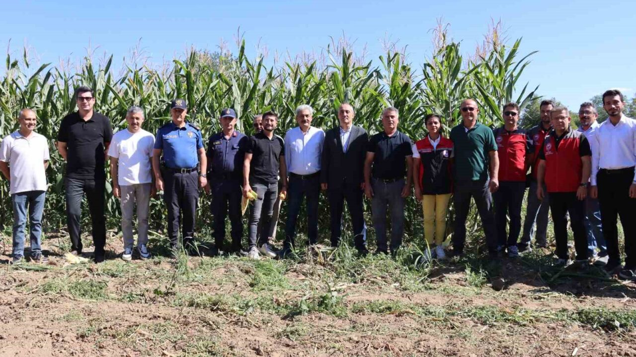 MUĞLA’NIN YATAĞAN İLÇESİNDE TARIMSAL ÜRETİME DİKKAT ÇEKMEK VE ÜRETİCİLERİN EMEĞİNİ TAÇLANDIRMAK AMACIYLA HASAT ŞENLİĞİ GERÇEKLEŞTİRİLDİ. YENİ MAHALLE VE YENİKÖY MAHALLELERİNDE DÜZENLENEN ETKİNLİKTE, ÜRETİCİLER VE İLÇE PROTOKOLÜ BİR ARAYA GELDİ.