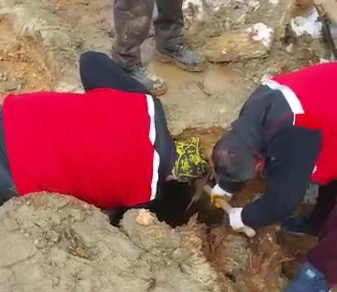 322 saat sonra enkazdan iki koyun ve bir kuzu canlı çıkarıldı