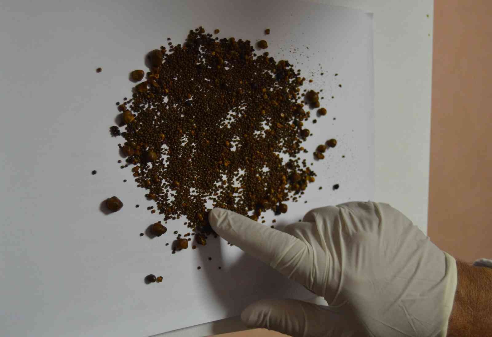 4 bin 536 taş çıktı