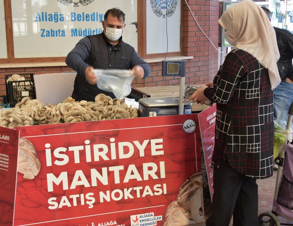 Aliağa’da istiridye mantarlarının ilk mahsulleri satışa sunuldu