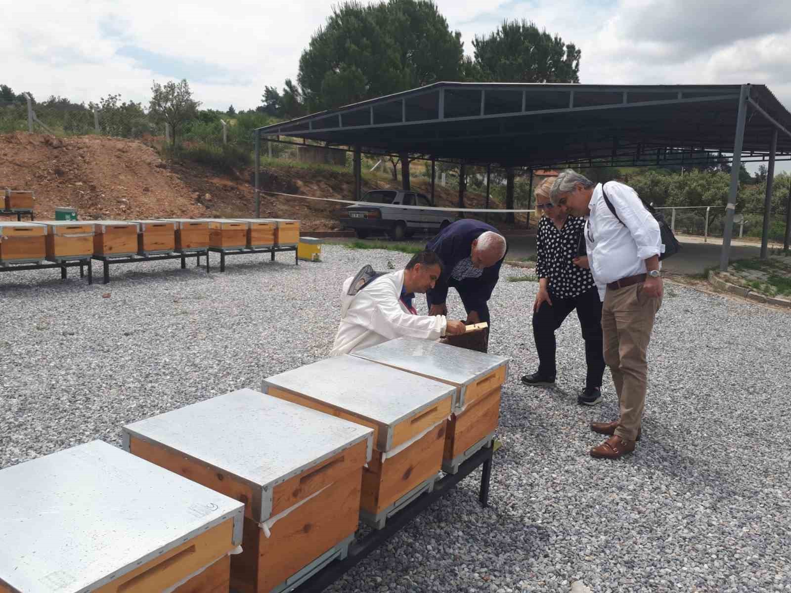 Ana Arı Üretim Merkezinde üretilen arılar teslime hazır