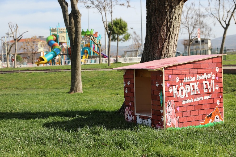 Atık malzemeler, sokak hayvanlarına sıcak yuva oldu