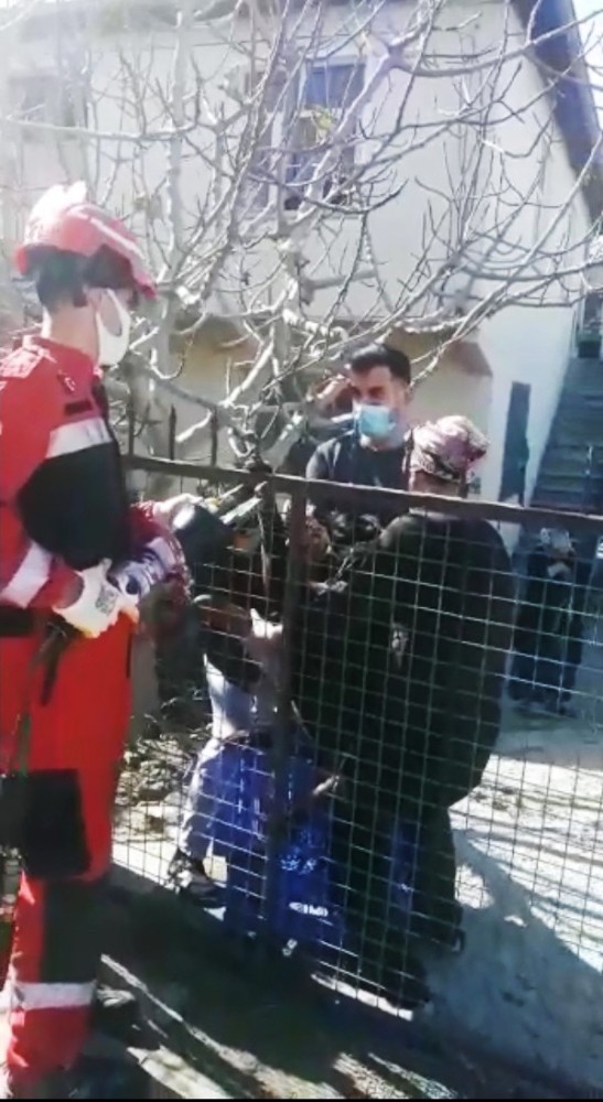 Ayağı demir korkuluğa saplanan köpek kurtarıldı