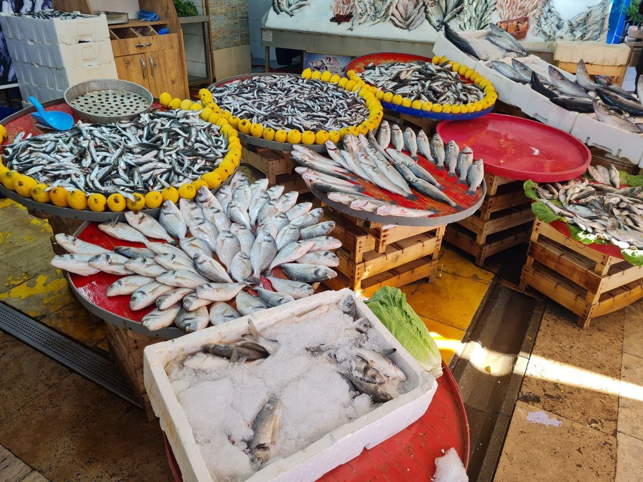 Aydın’da balık tezgahlarının yıldızı sardalya