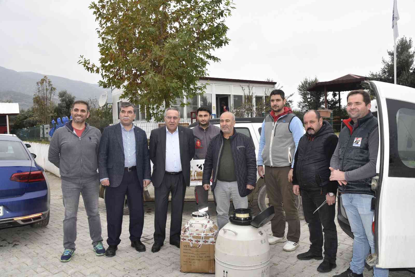 Aydın’da düve sayısı bu proje ile artacak