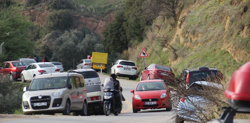 Aydın’da güneşi gören kendisini dışarı attı