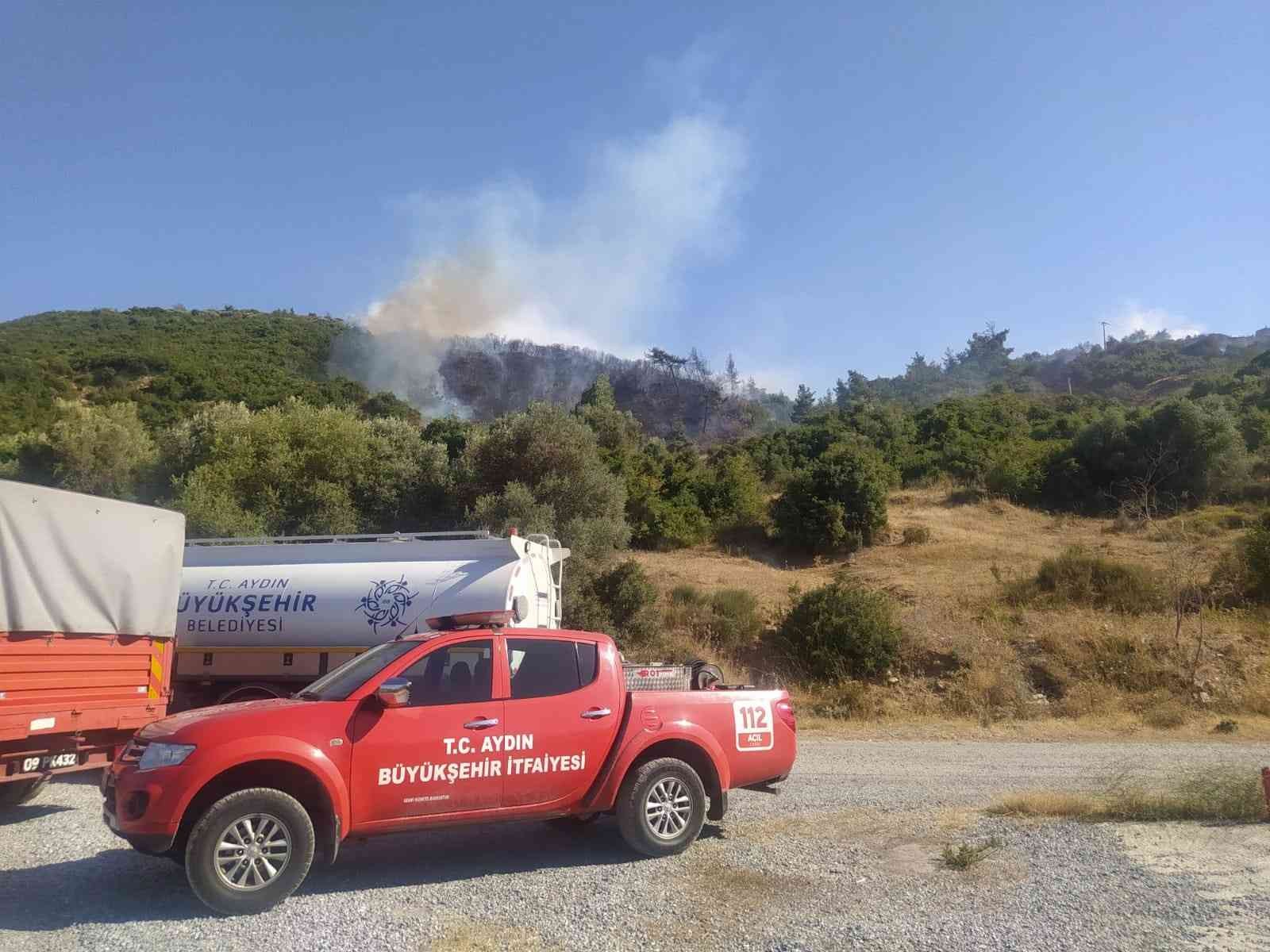 Aydın’da orman yangını