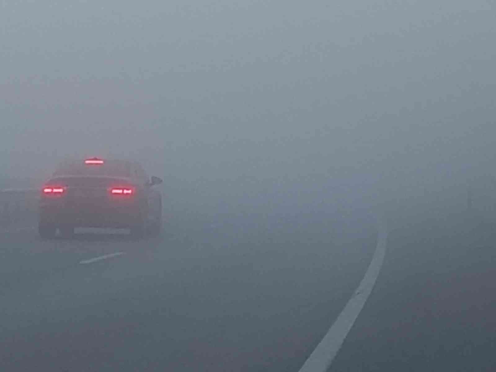 Aydın’da yoğun sis etkili oldu