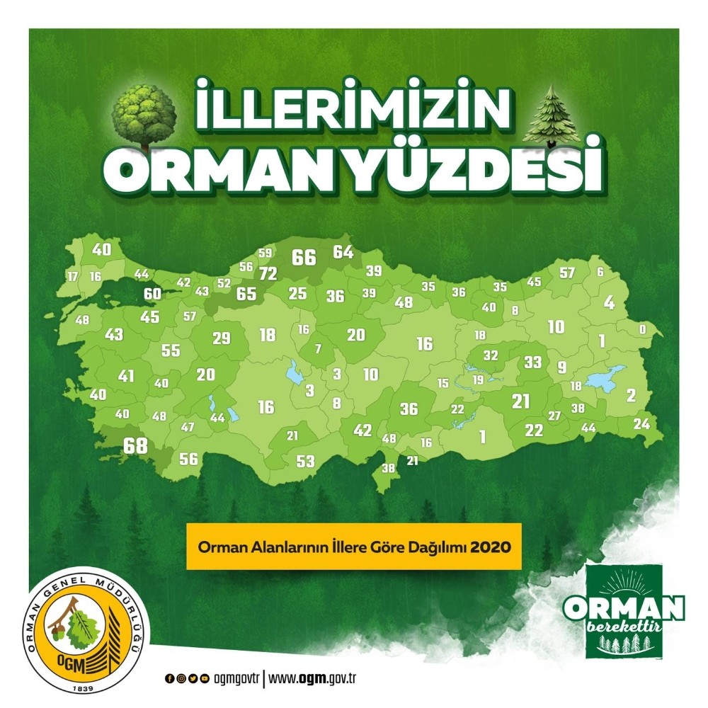 Aydın’ın yüzde 40’ı ormanlarla kaplı