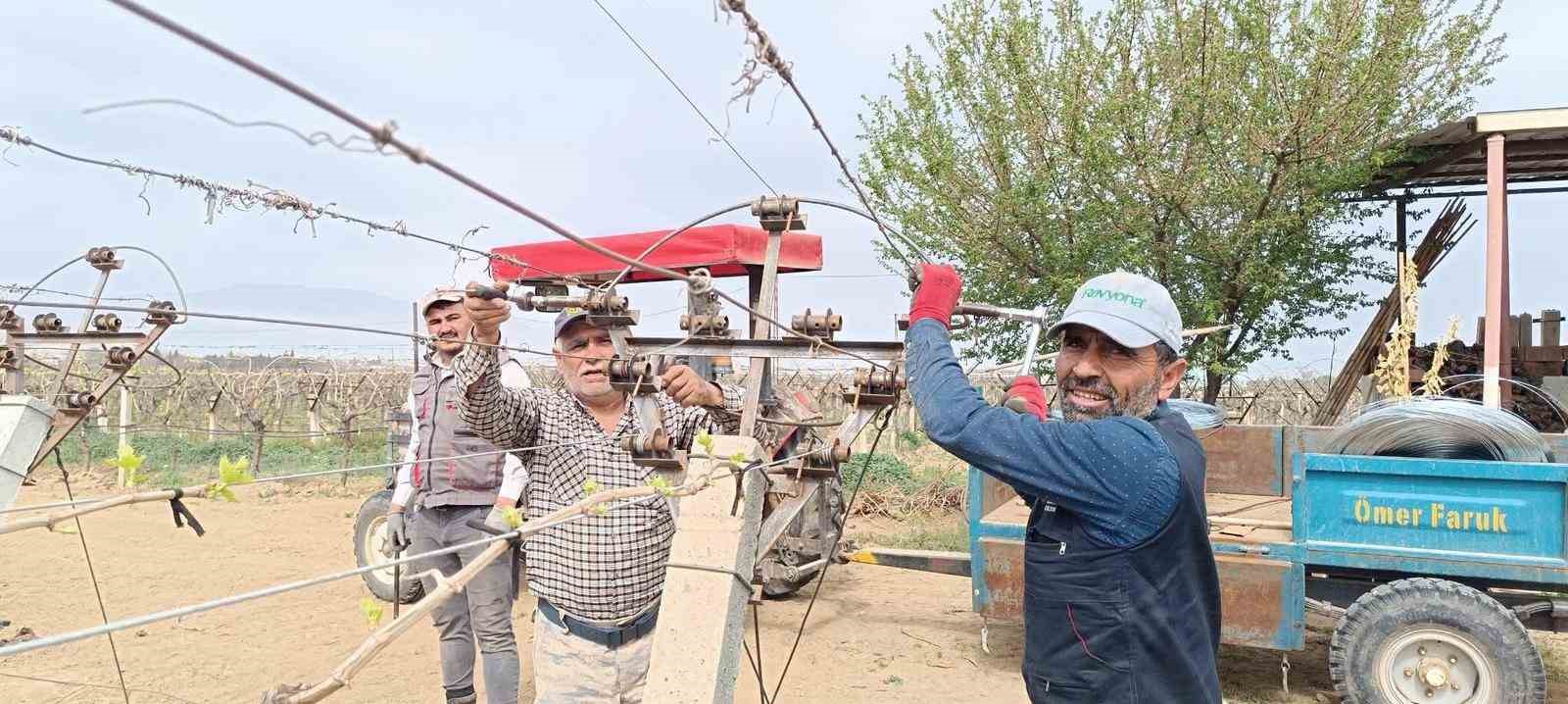 Bağlarda bayram öncesi yoğun çalışma