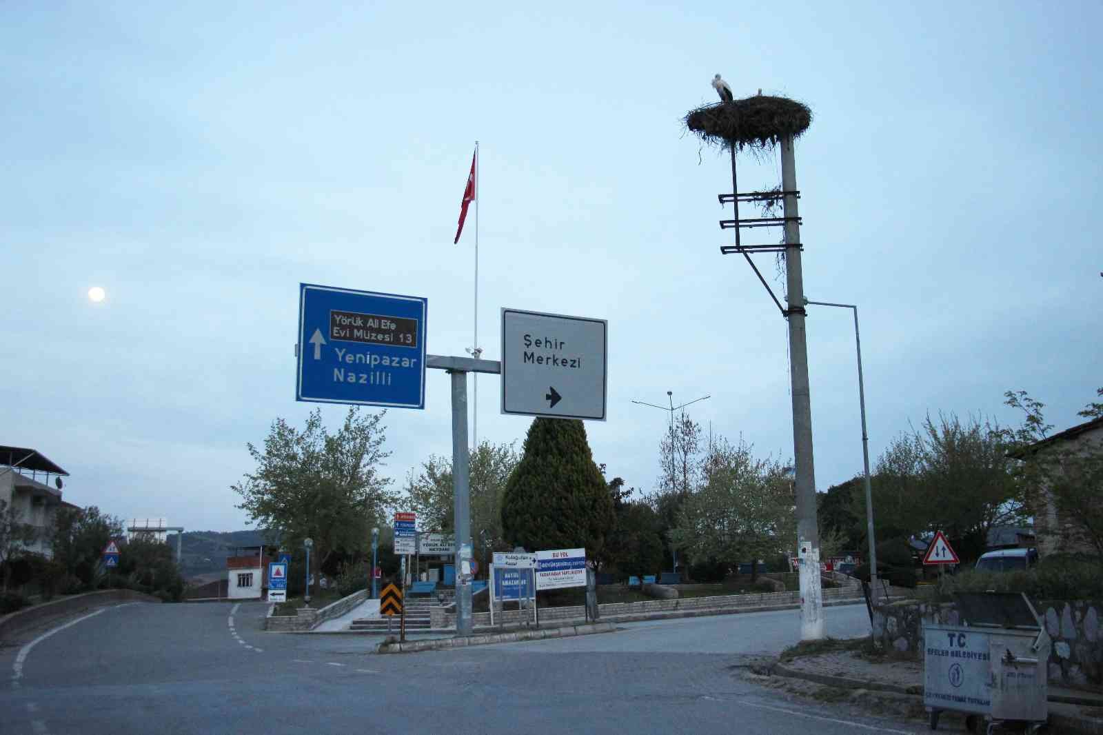 Baharın müjdecisi leylekler Aydın’ı mesken tutuyor