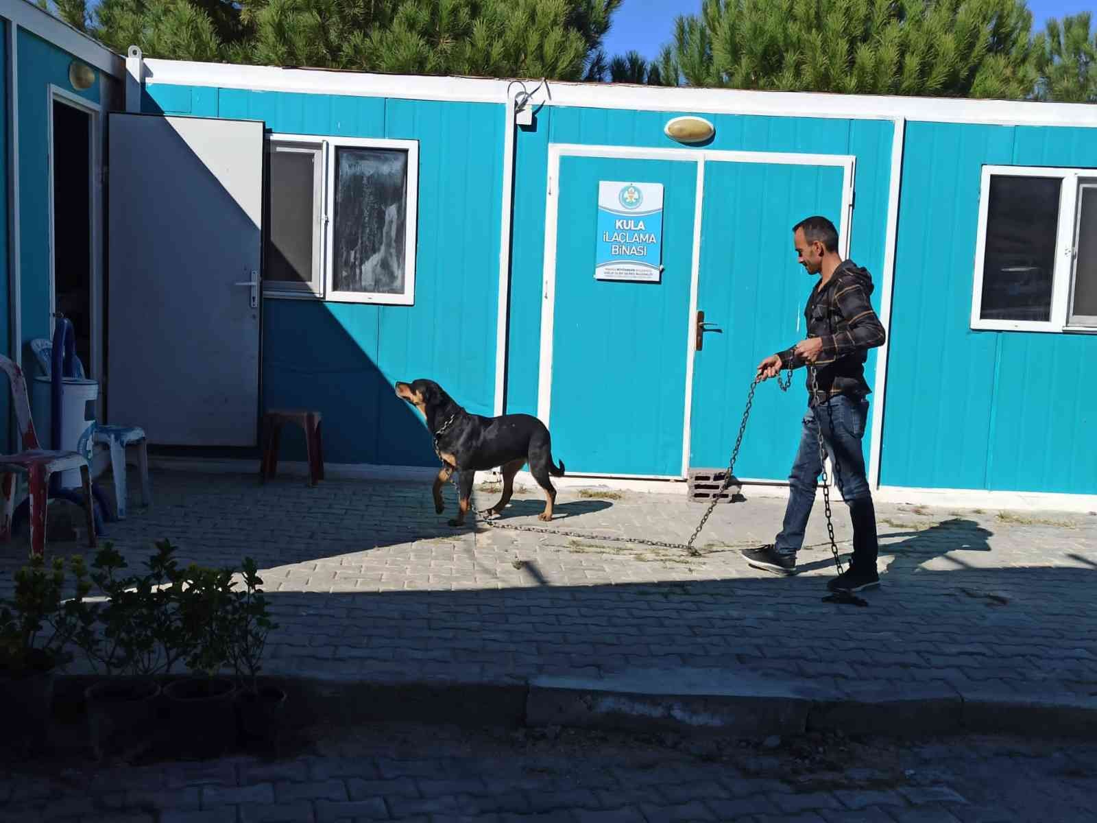 Bir sokak hayvanı daha yeni yuvasına kavuştu