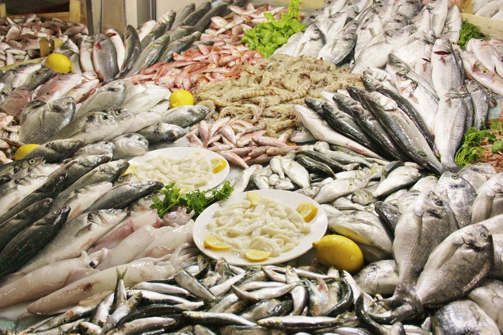 Birleşmiş Milletler 2022 yılını Balıkçılık ve Su Ürünleri Yılı ilan etti